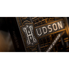 HUDSON BLACK OYUN KARTI THEORY11