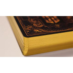 Elements Oyun Kartları Gilded – ChrisCards Tasarımı