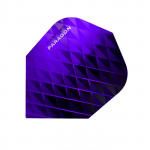 Paragon Dart Kuruğu